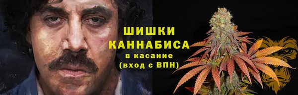 PSILOCYBIN Баксан