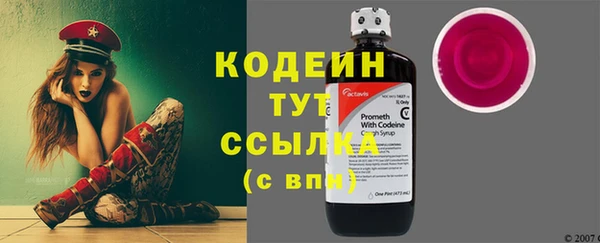 соль ск Богородицк