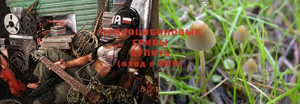 крисы Белокуриха